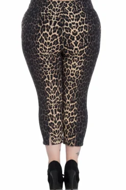 New Panthera Capris